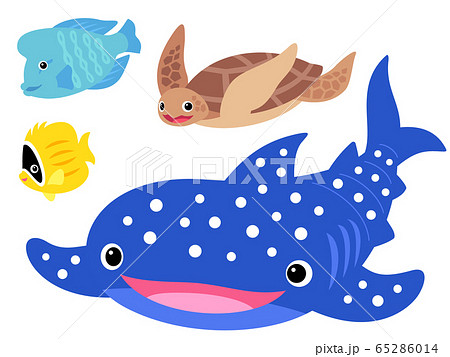泳ぐ海の生き物のイラストセット ジンベエザメ ウミガメ 熱帯魚 のイラスト素材