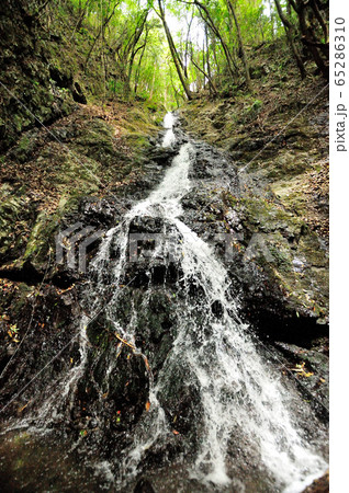 三重の滝   (聖宝の滝・不動の滝・潮の滝) 三重の滝   (聖宝の滝・不動の滝・潮の滝) 65286310