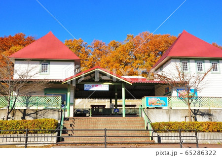 横浜市青葉区 こどもの国のミニSL太陽号のりばと紅葉 横浜市青葉区 こどもの国のミニSL太陽号のりばと紅葉 65286322
