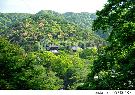 根来寺　大塔・大伝法堂 65286437
