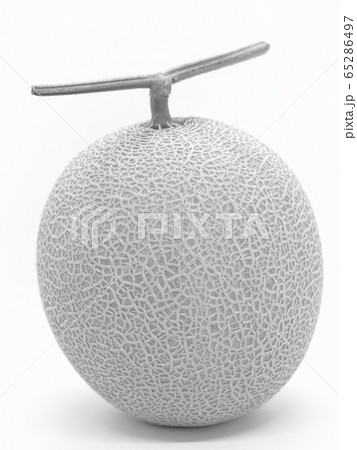 食べ頃を迎えた高知県産の高級フルーツ「マスクメロン」 65286497