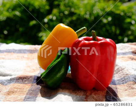 パプリカ 65286831