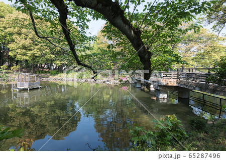 鹿沼公園 65287496