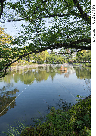 鹿沼公園 65287498