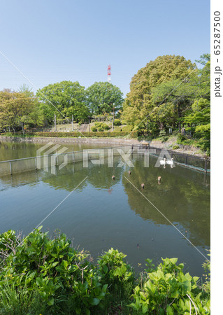 鹿沼公園 65287500