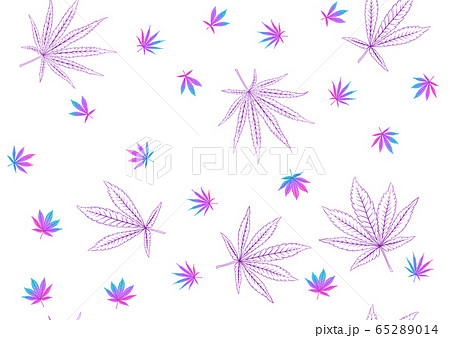 Cannabis leaves seamless pattern, background. 65289014