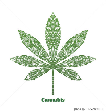 Cannabis Leaf Decorated With Original Modern のイラスト素材 6562