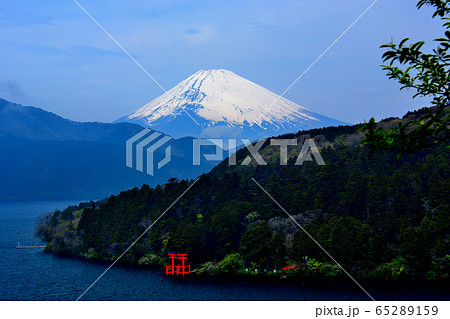 元箱根・霊峰富士山と箱根神社の鳥居の眺め・箱根町・神奈川（３） 65289159