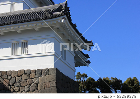 春の小田原城 春の小田原城 65289578