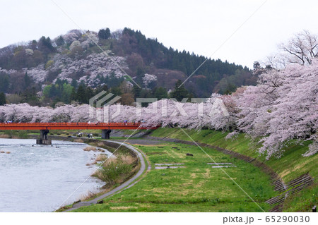 桧木内川堤の桜並木/秋田県仙北市 桧木内川堤の桜並木/秋田県仙北市 65290030