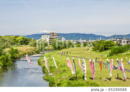 愛知県 矢田川の鯉のぼり 愛知県 矢田川の鯉のぼり 65290088