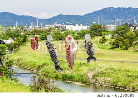 愛知県　矢田川の鯉のぼり 65290089