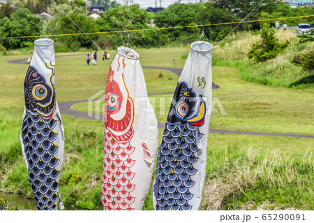 愛知県　矢田川の鯉のぼり 65290091