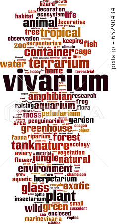 Vivarium word cloud Vivarium word cloud 65290434