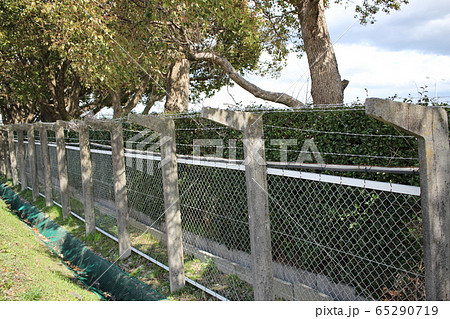 有刺鉄線　フェンス　コンクリート 65290719