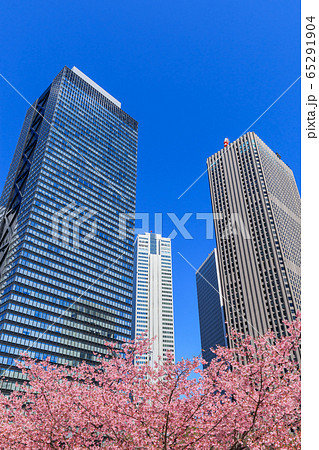 新宿_桜と高層ビル街の絶景 新宿_桜と高層ビル街の絶景 65291904
