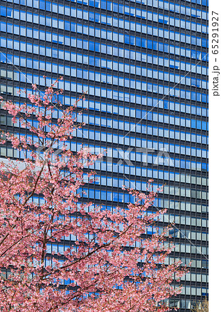 新宿_桜と高層ビル街の絶景 新宿_桜と高層ビル街の絶景 65291927