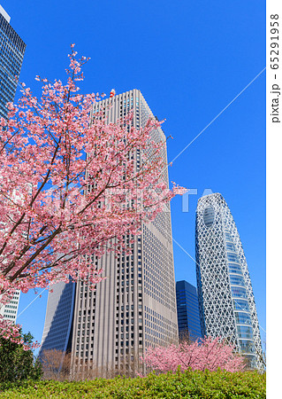 新宿_桜と高層ビル街の絶景 新宿_桜と高層ビル街の絶景 65291958