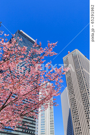 新宿_桜と高層ビル街の絶景 65291962