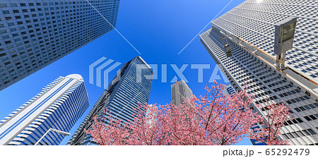 新宿_桜と高層ビル街の絶景パノラマ 65292479