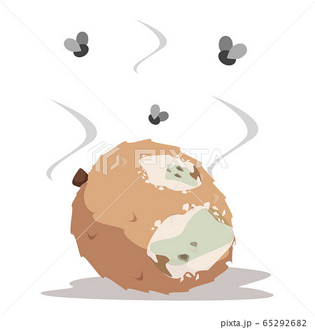 Rotten lychee vector isolated. Food waste, 65292682