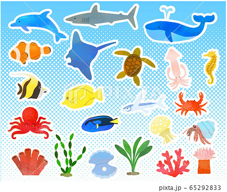様々な海の生き物セット ベクターのイラスト素材