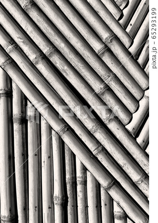 abstract texture background of the bamboo wall abstract texture background of the bamboo wall 65293199