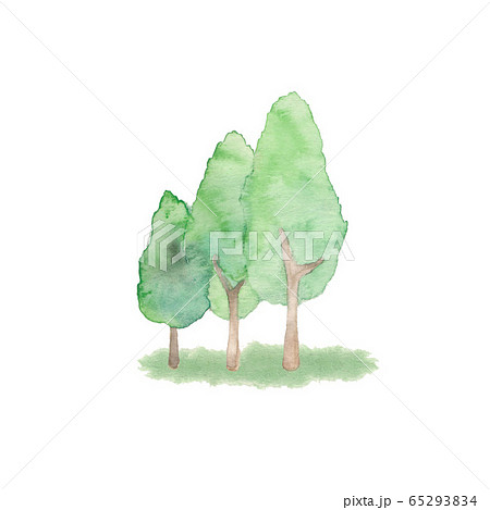 並木、素材 65293834