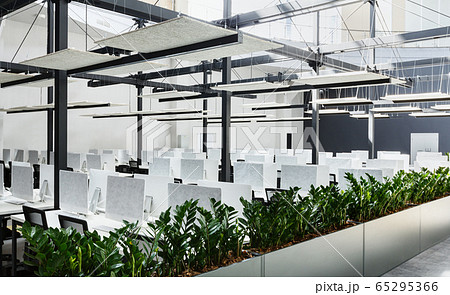 Modern office interior with green plants and computers 65295366