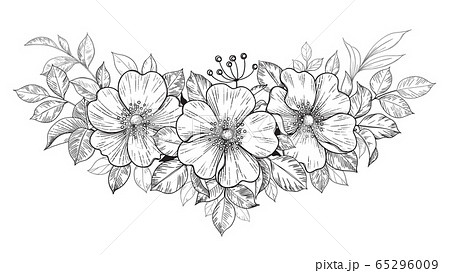 Hand Drawn Dog Rose Bunch With Flowers And Leavesのイラスト素材