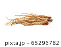 薬草 桔梗 野菜 65296782