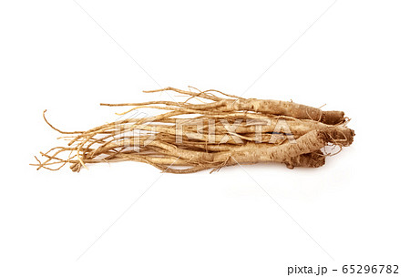 薬草 桔梗 野菜 65296782