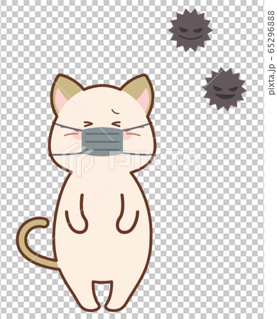 Cat masked with a virus 65296888