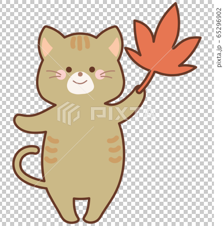 紅葉したモミジを持った猫 65296902