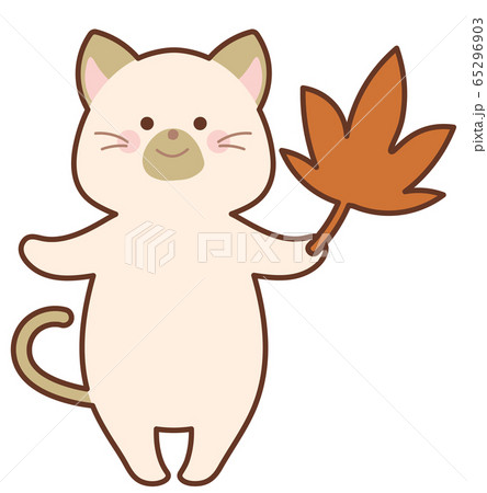 紅葉したモミジを持った猫 65296903
