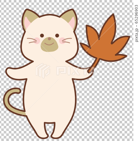 紅葉したモミジを持った猫 65296903