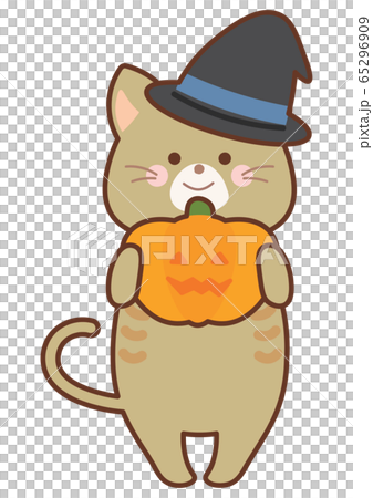 Cat in Halloween costume Cat in Halloween costume 65296909