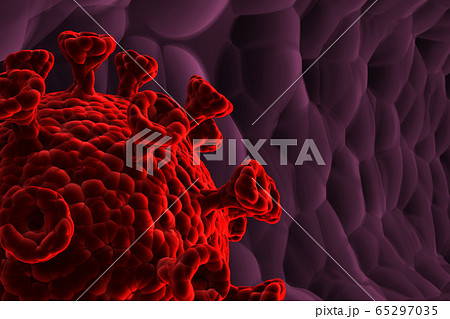 An illustration showing a coronavirus in the human body. 65297035