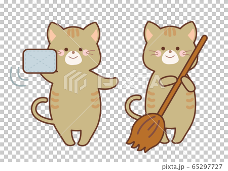 Cat set to clean 65297727