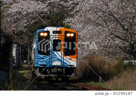 天竜浜名湖鉄道　TH9200形と桜 65299187