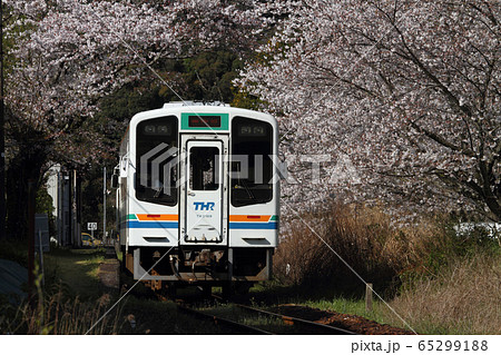 天竜浜名湖鉄道　TH2100形と桜 65299188