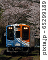 天竜浜名湖鉄道　TH9200形と桜 65299189