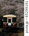 天竜浜名湖鉄道　TH3000形と桜 65299191