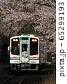 天竜浜名湖鉄道　桜 65299193