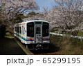 天竜浜名湖鉄道　桜 65299195