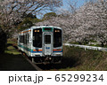 天竜浜名湖鉄道　さくら 65299234