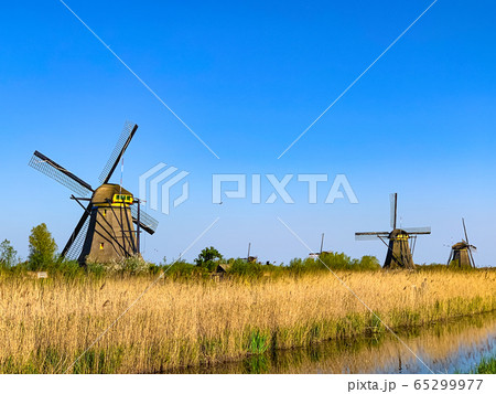 windmills in holland windmills in holland 65299977
