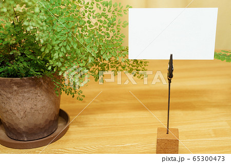 メモスタンドと観葉植物 メモスタンドと観葉植物 65300473