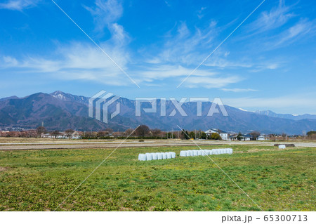 牧草ロールと田畑:春 松本市 牧草ロールと田畑:春 松本市 65300713