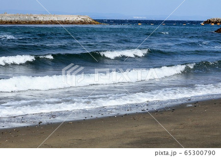 海 海 65300790